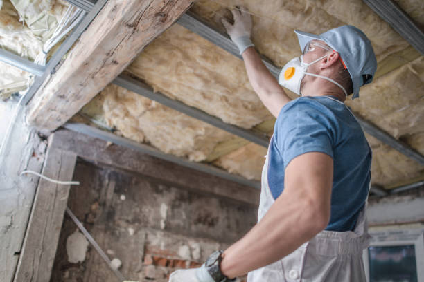 Best DIY Insulation Kits and Guidance in Crosby, TX