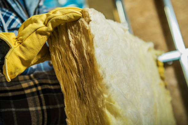 Best Eco-Friendly Insulation in Crosby, TX